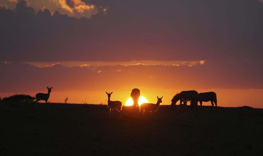 masai-mara-photography-tour