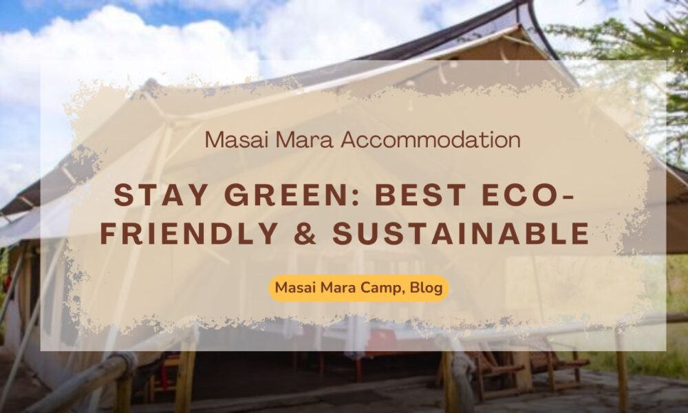 stay-green-best-eco-friendly-sustainable-masai-mara-accommodation