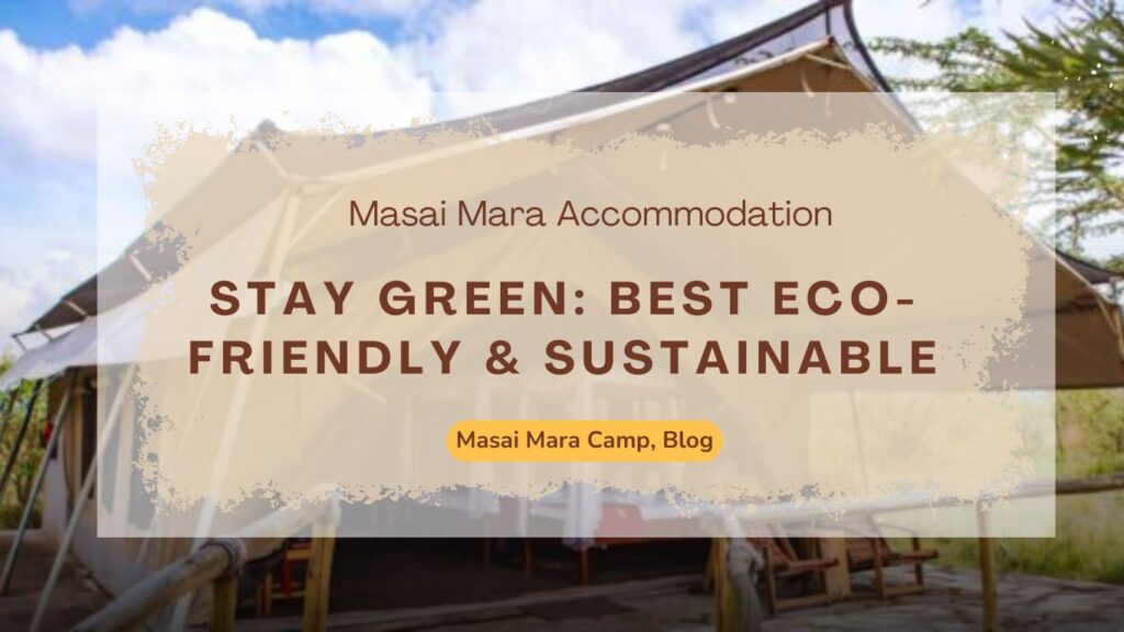 stay-green-best-eco-friendly-sustainable-masai-mara-accommodation