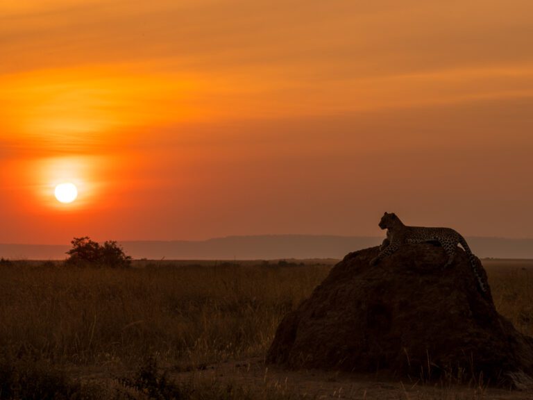 Masai Mara packages
