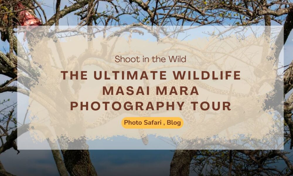 the-ultimate-wildlife-masai-mara-photography-tour-shoot-in-the-wild