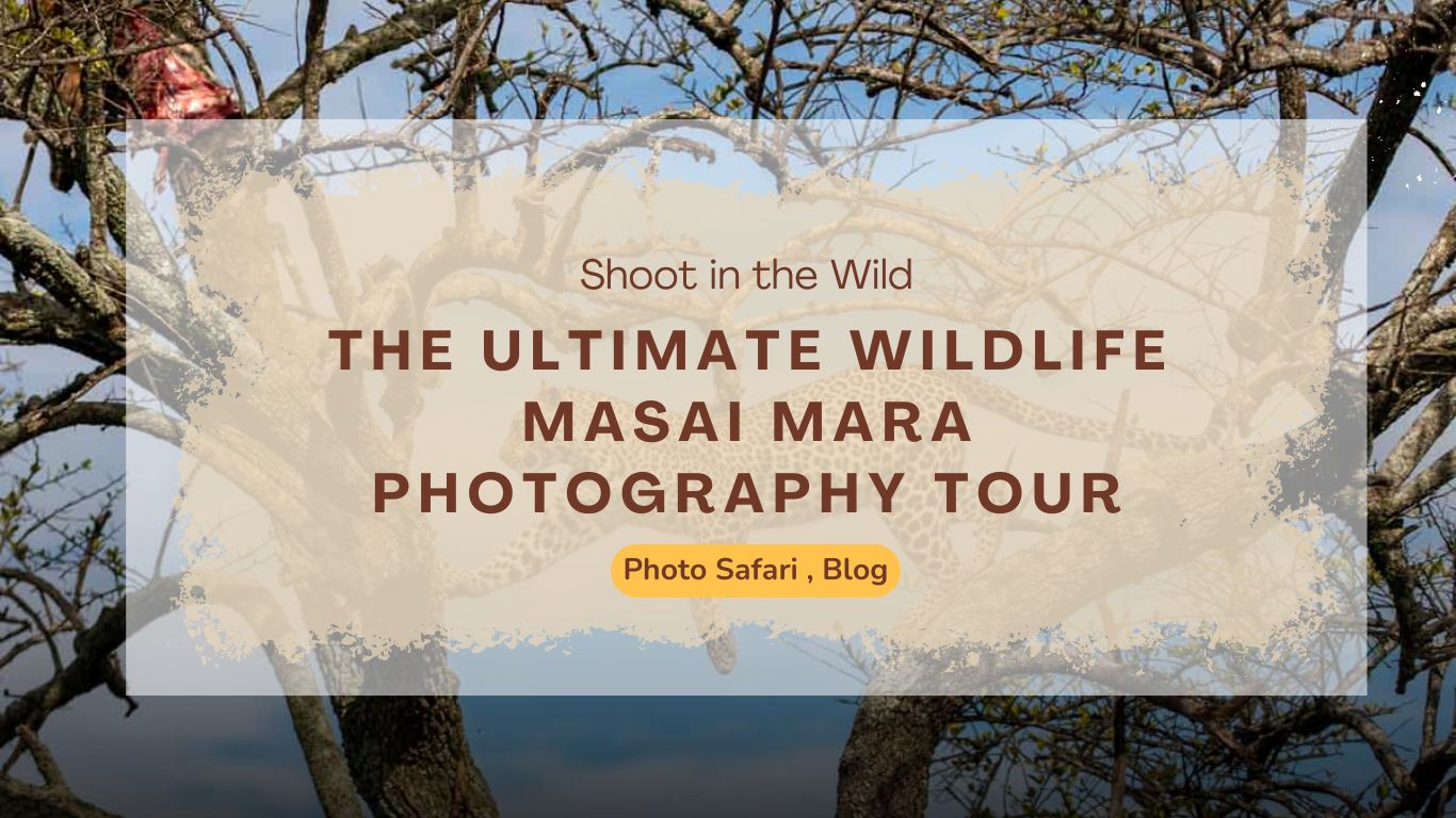 the-ultimate-wildlife-masai-mara-photography-tour-shoot-in-the-wild