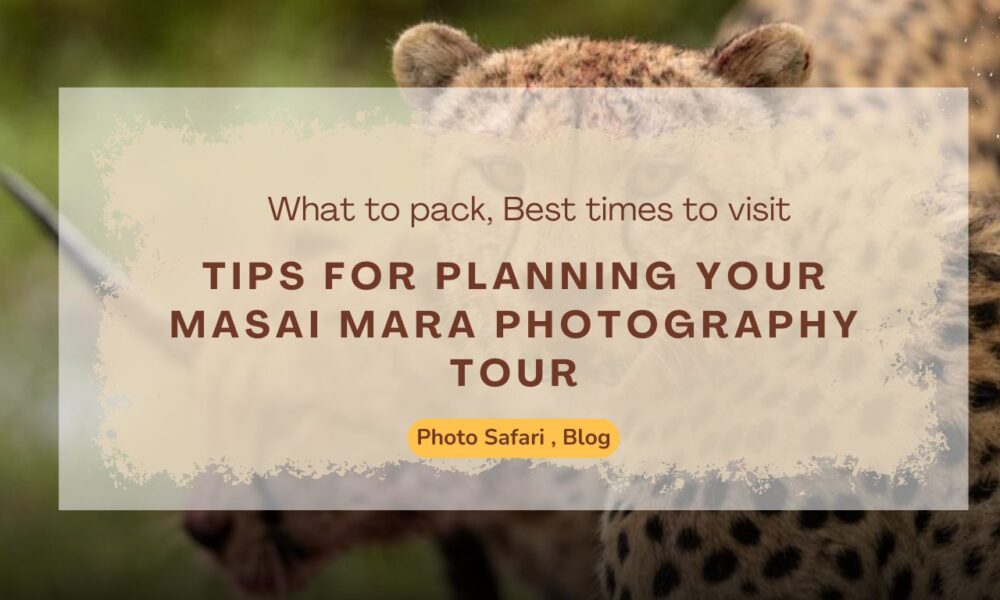tips-for-planning-your-masai-mara-photography-tour