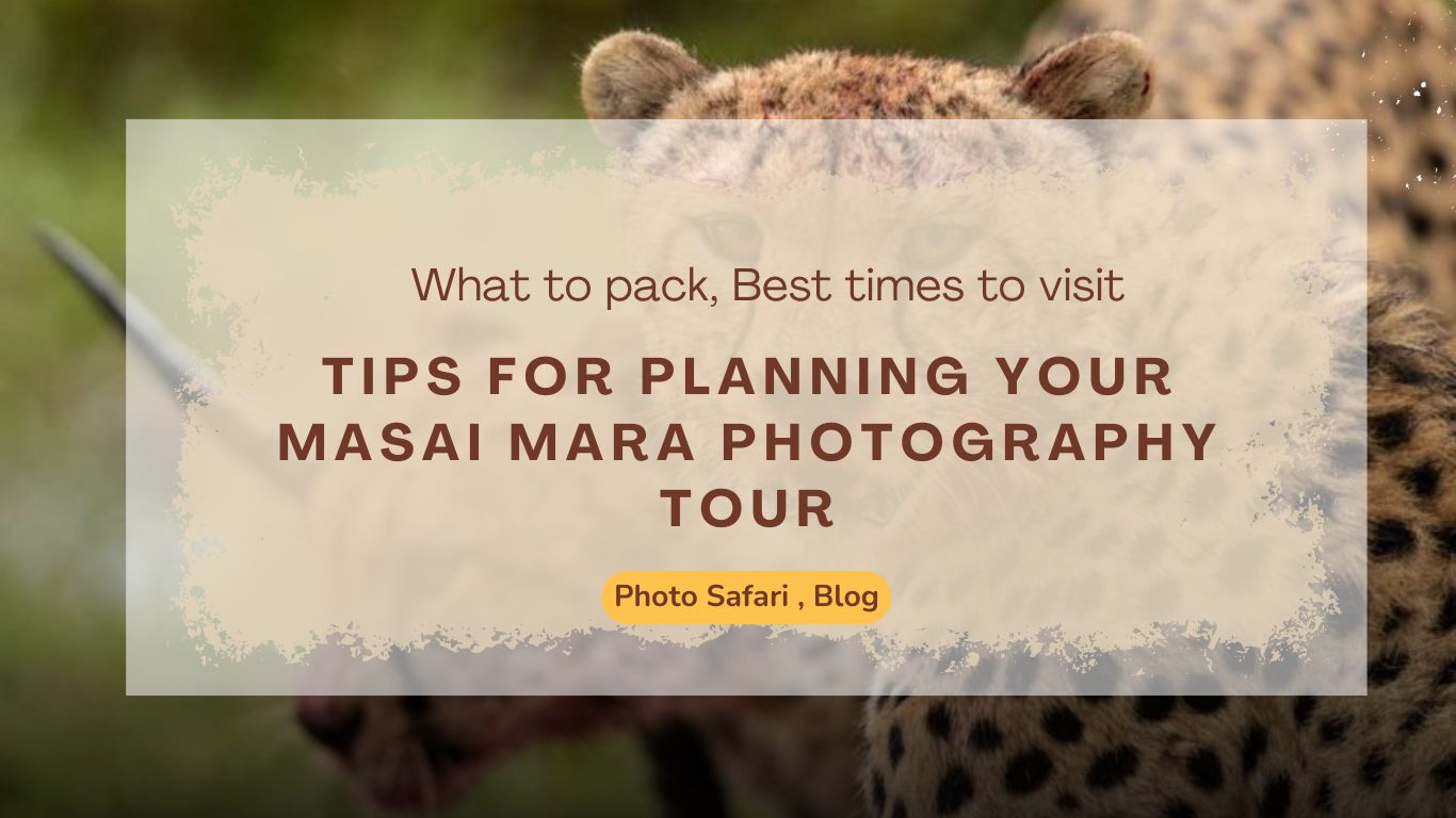tips-for-planning-your-masai-mara-photography-tour