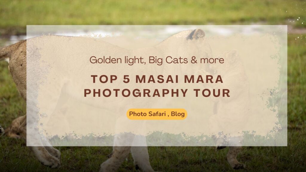 top-5-masai-mara-photography-tour