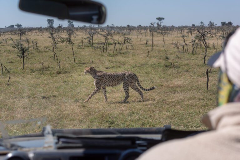 Masai Mara photography tours
