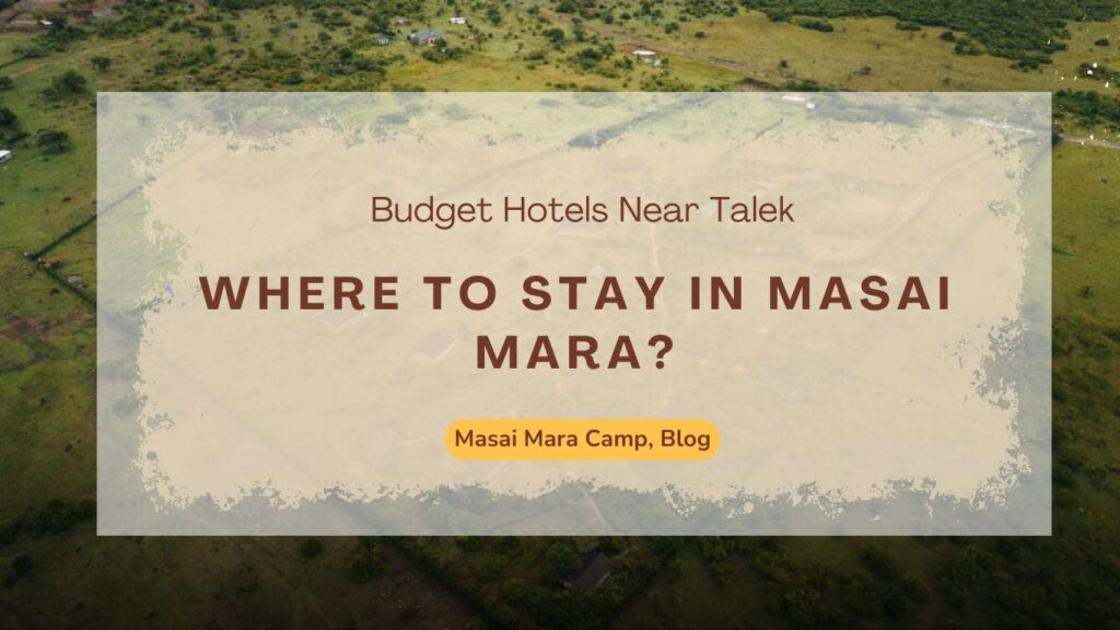 where-to-stay-in-masai-mara-budget-camp-near-talek