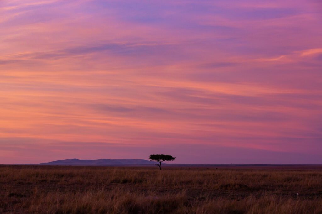 Masai Mara accommodation