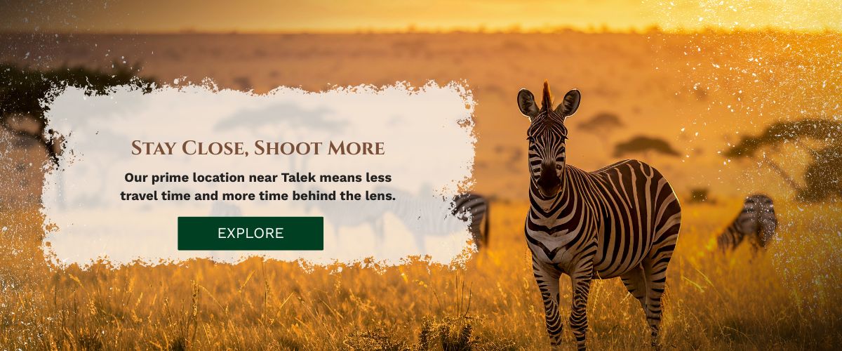 Masai Mara photography tour