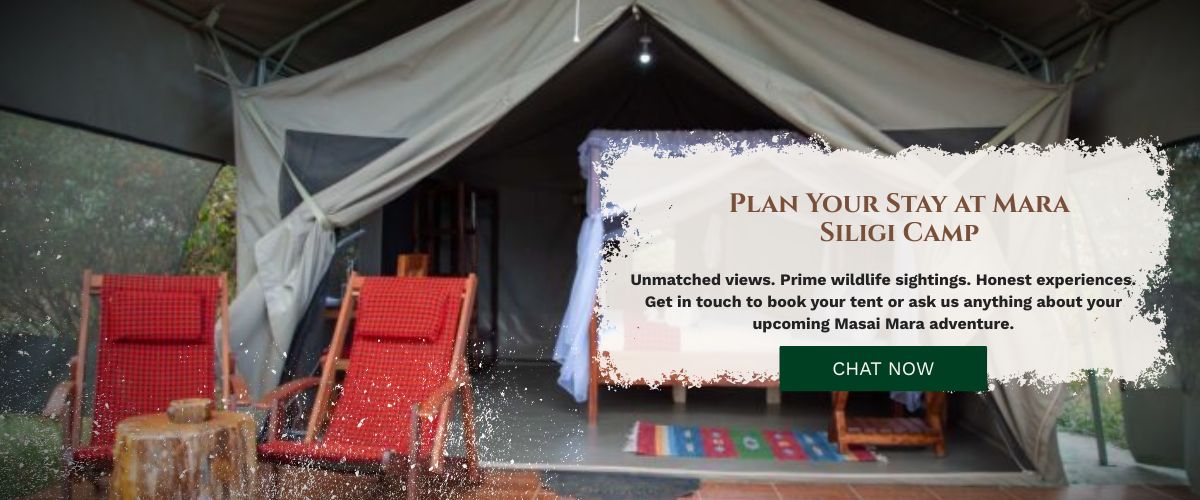 Masai Mara accommodation
