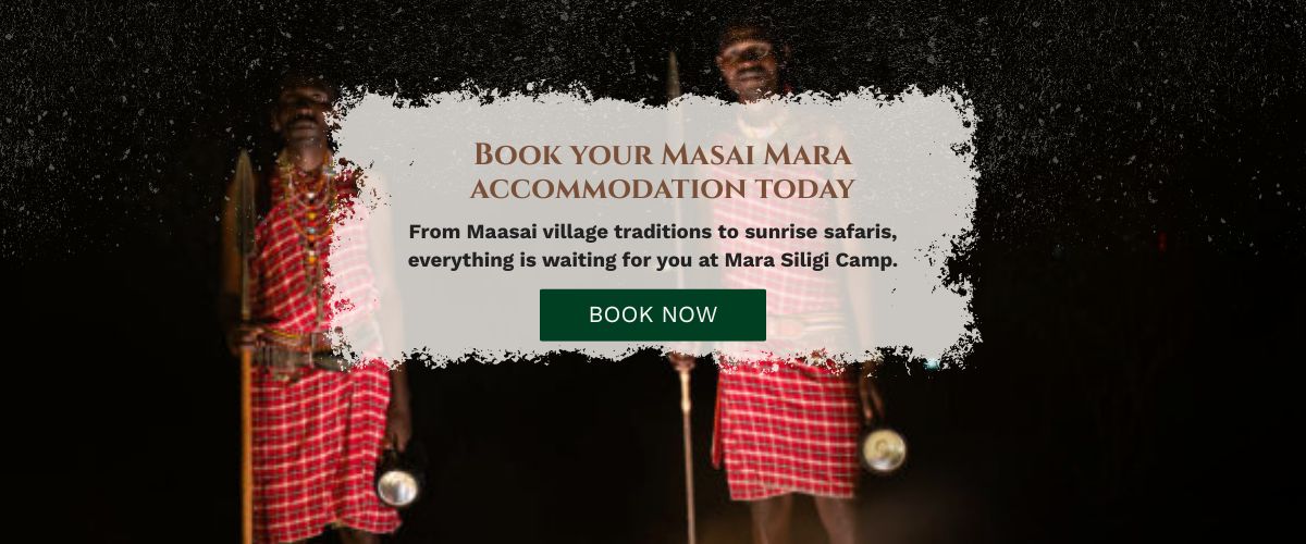 "Masai Mara tour packages