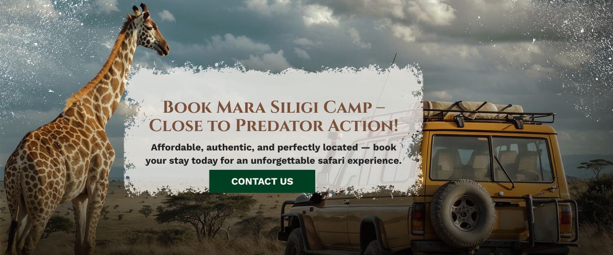 Masai Mara lodge