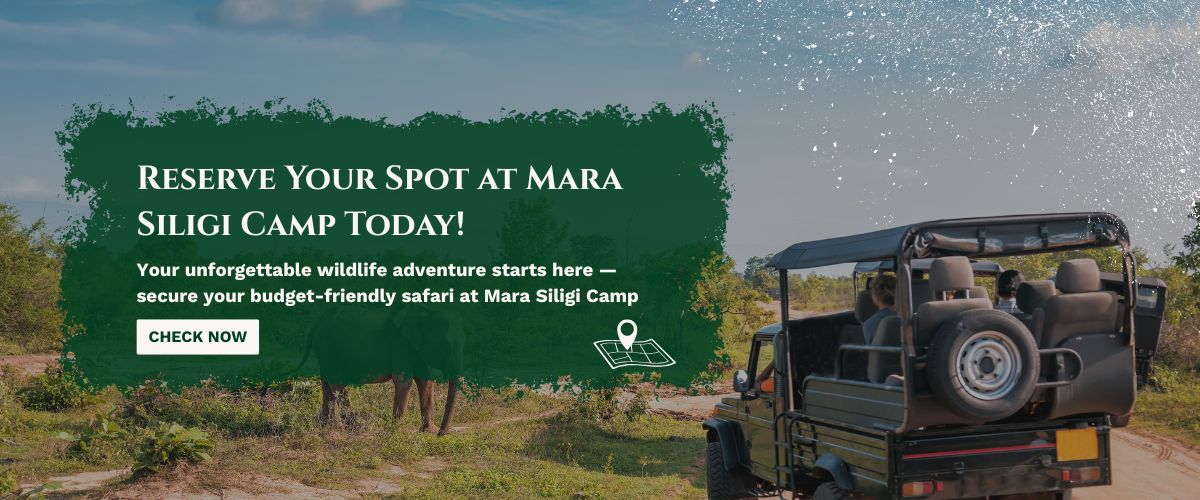 masai mara safari packages