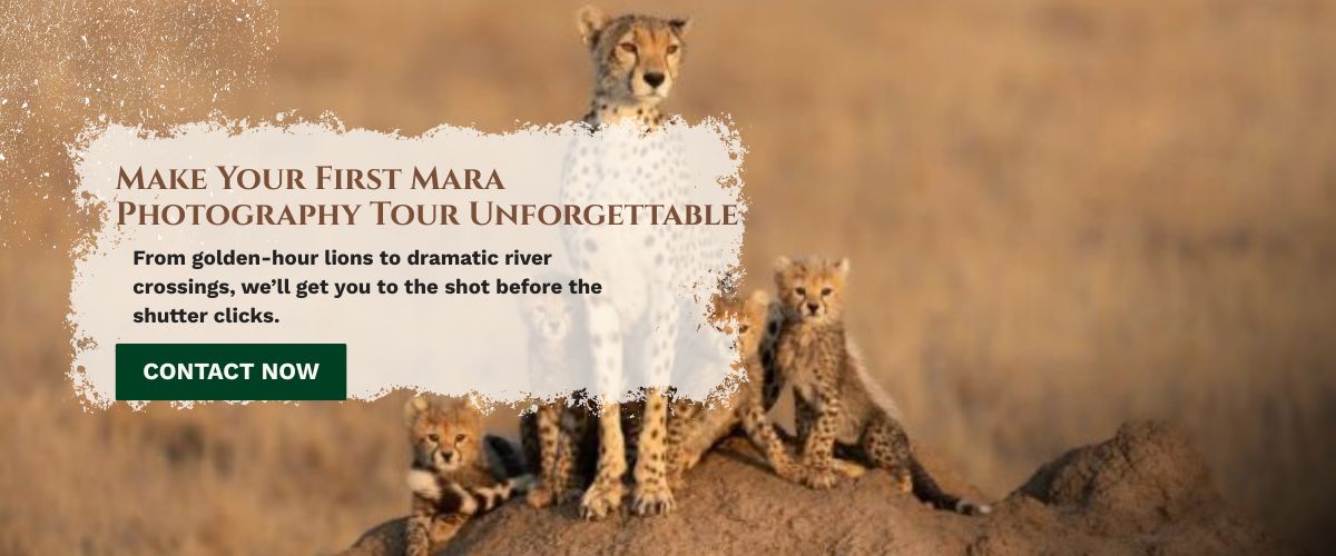 Masai Mara photography tour packages