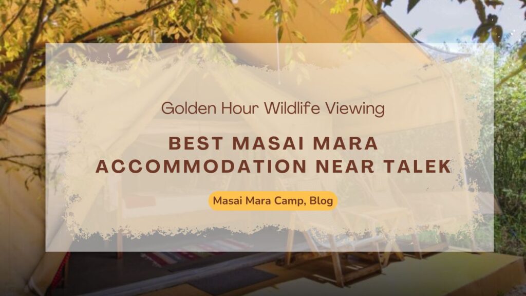 best-masai-mara-accommodation-near-talek-golden-hour-wildlife-viewing