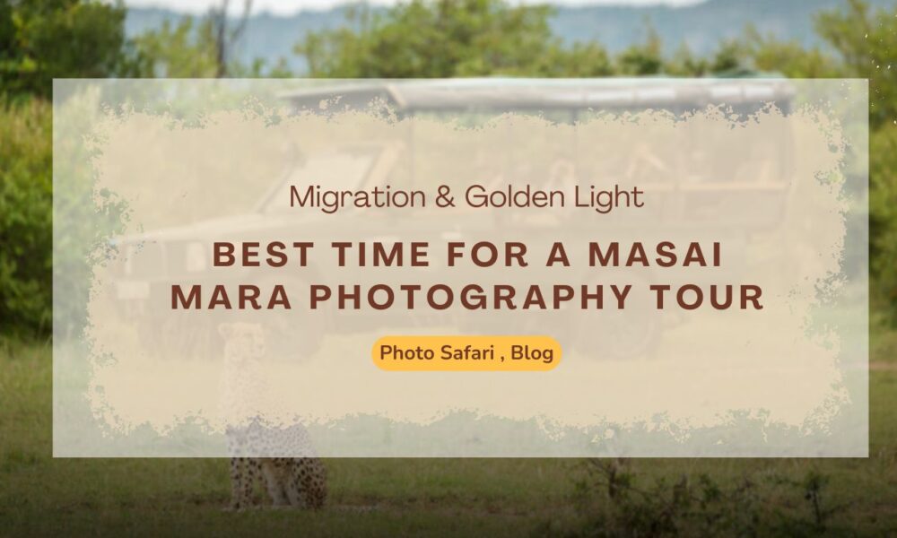 best-time-for-a-masai-mara-photography-tour-migration-&-golden-light