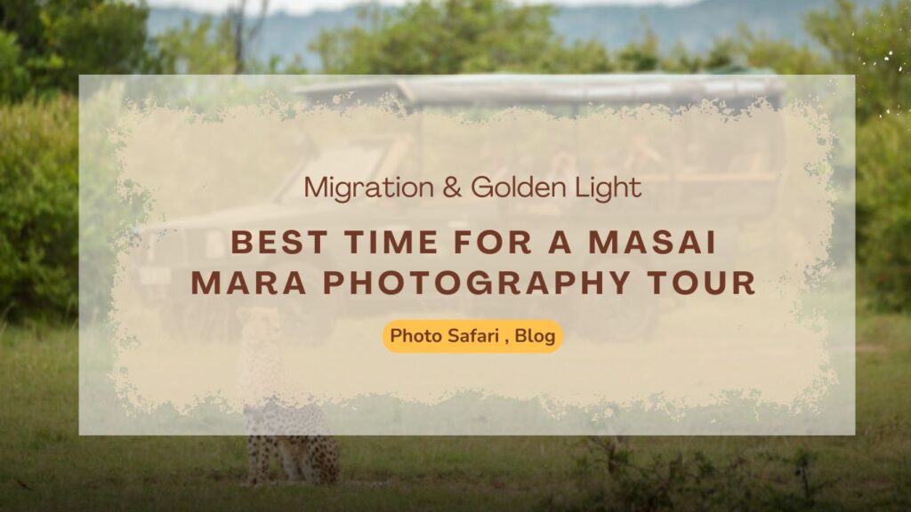 best-time-for-a-masai-mara-photography-tour-migration-&-golden-light