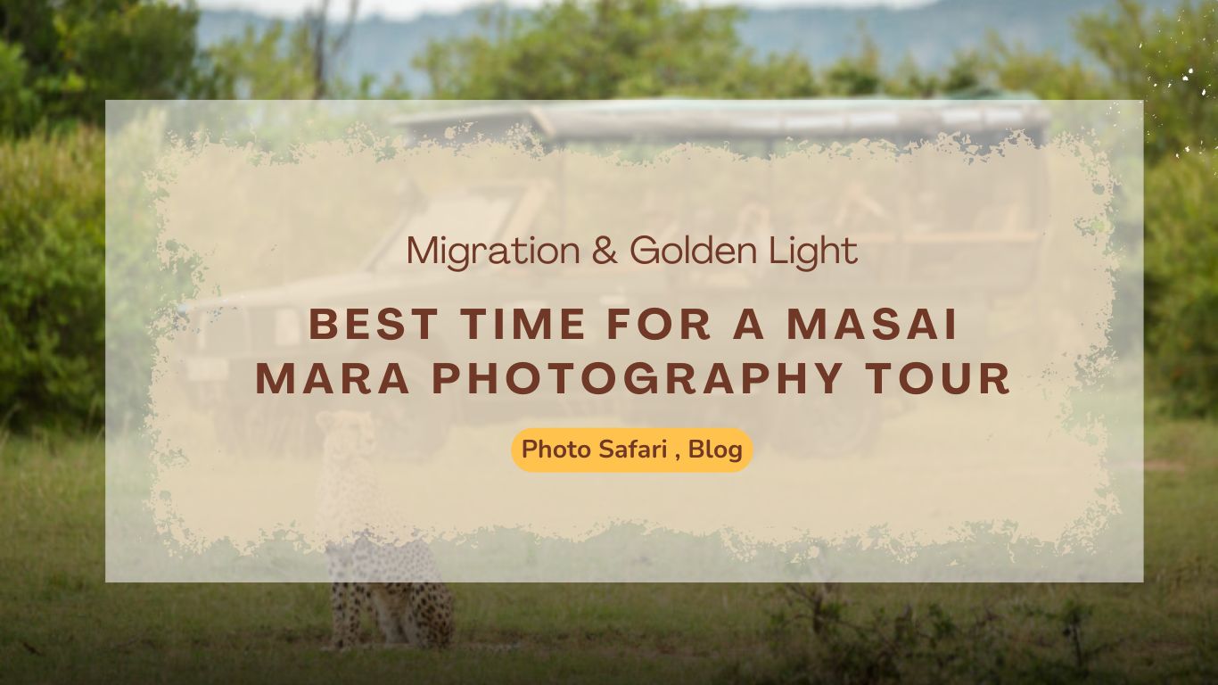 best-time-for-a-masai-mara-photography-tour-migration-&-golden-light