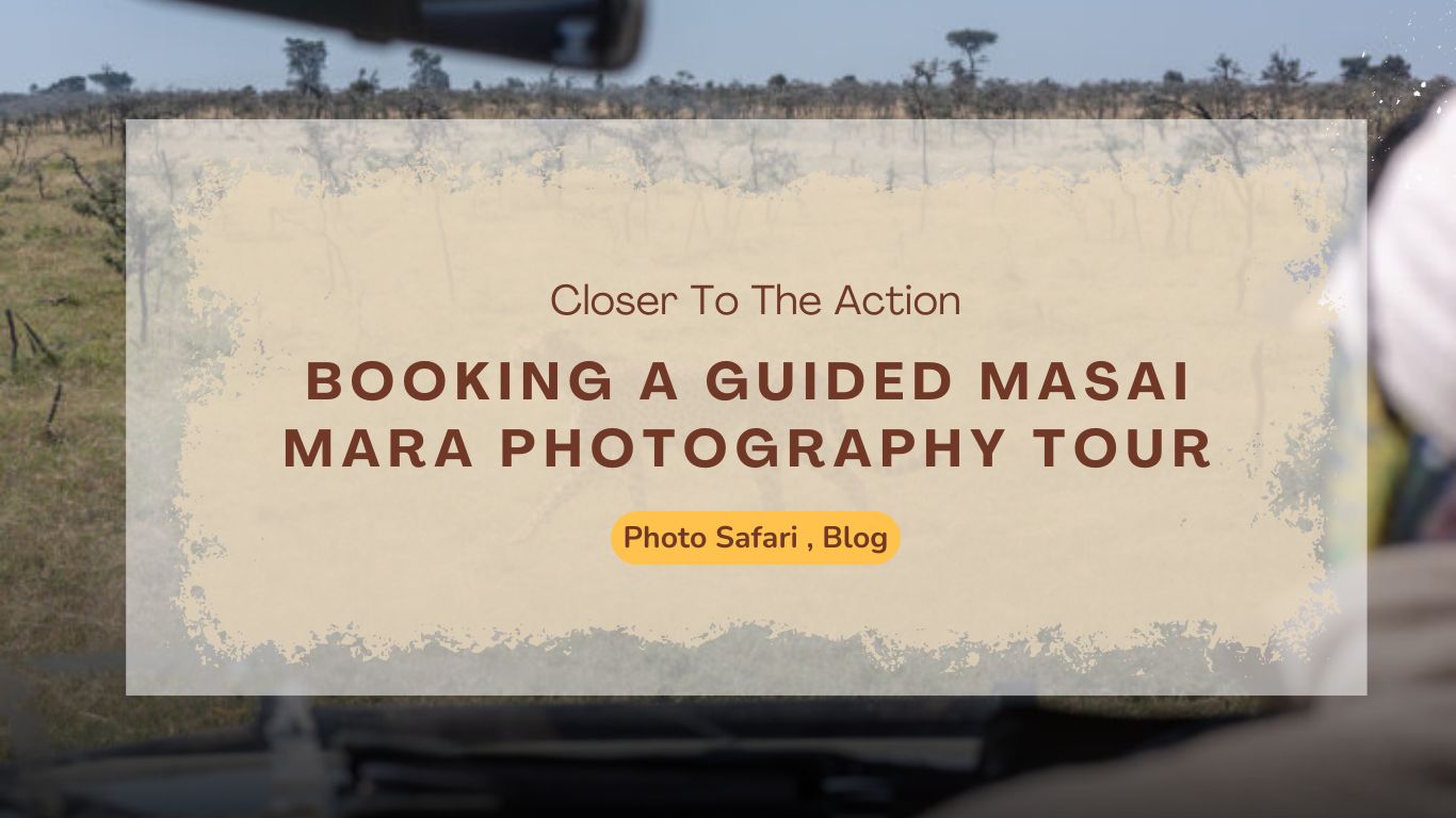 booking-a-guided-masai-mara-photography-tour