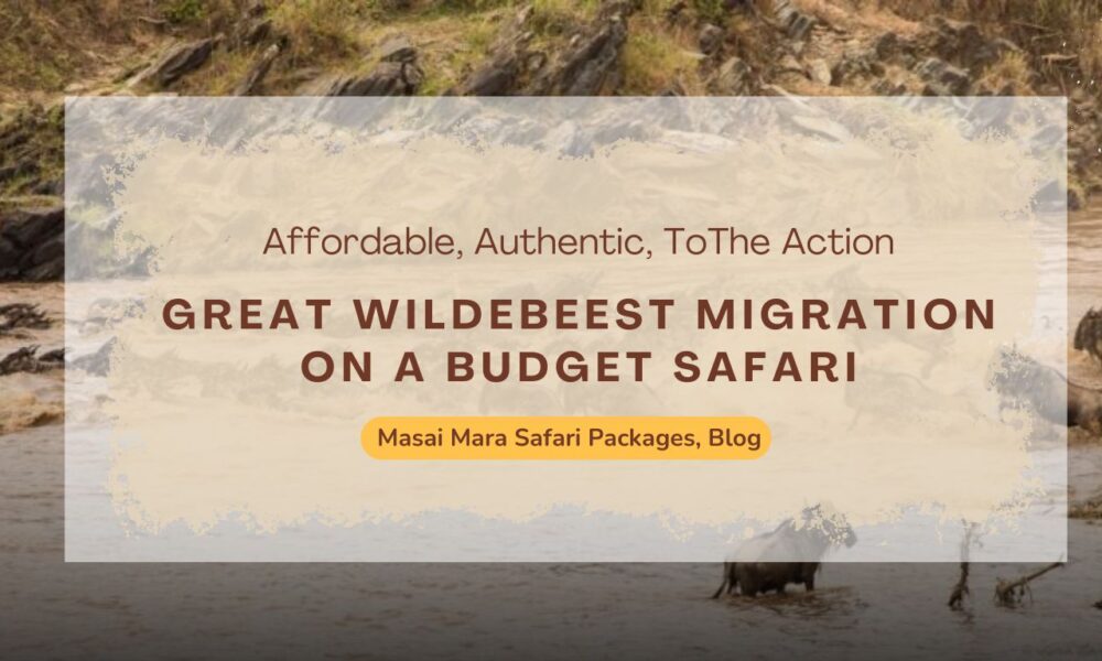 budget-masai-mara-tour-packages-to-catch-the-wildebeest-crossings