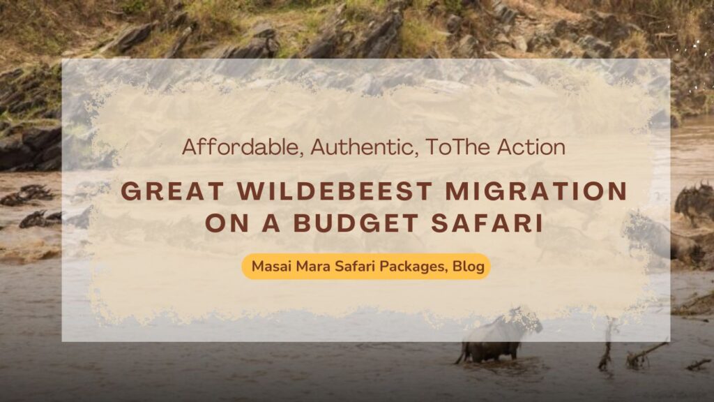 budget-masai-mara-tour-packages-to-catch-the-wildebeest-crossings
