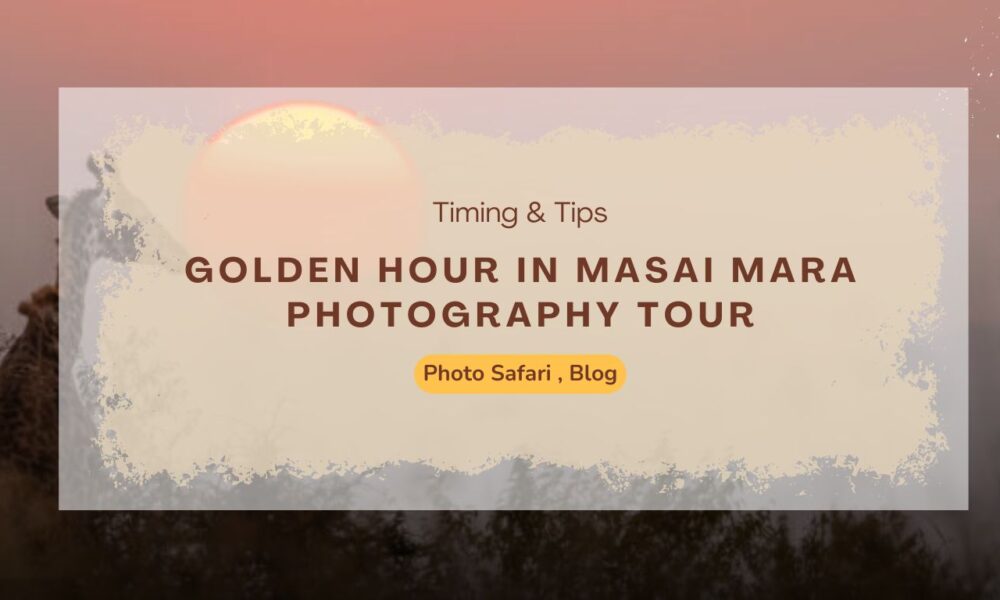 golden-hour-in-masai-mara-photography-tour-timing-tips