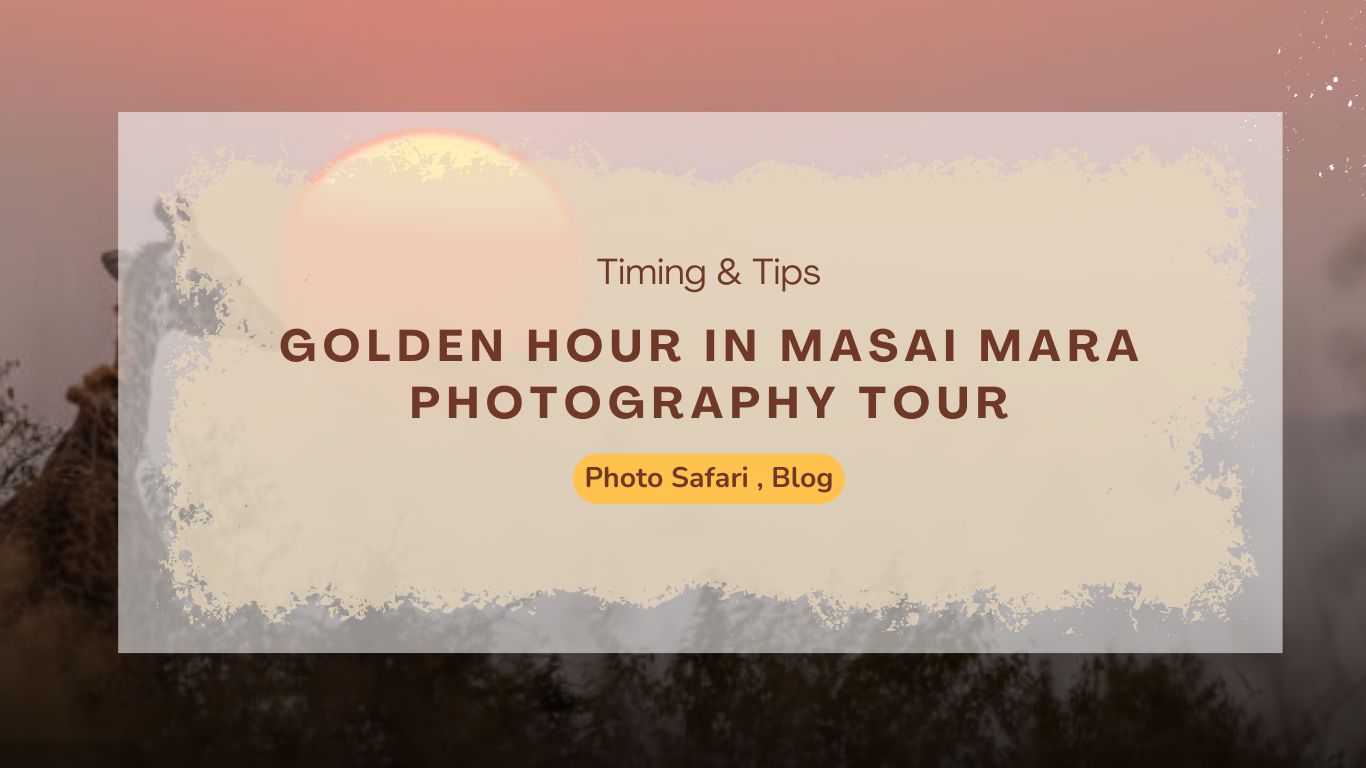 golden-hour-in-masai-mara-photography-tour-timing-tips