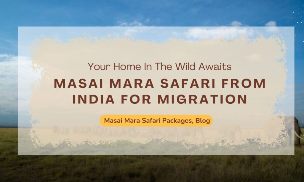 how-to-book-a-masai-mara-safari-from-india-for-migration-season