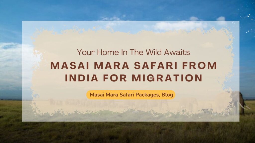 how-to-book-a-masai-mara-safari-from-india-for-migration-season