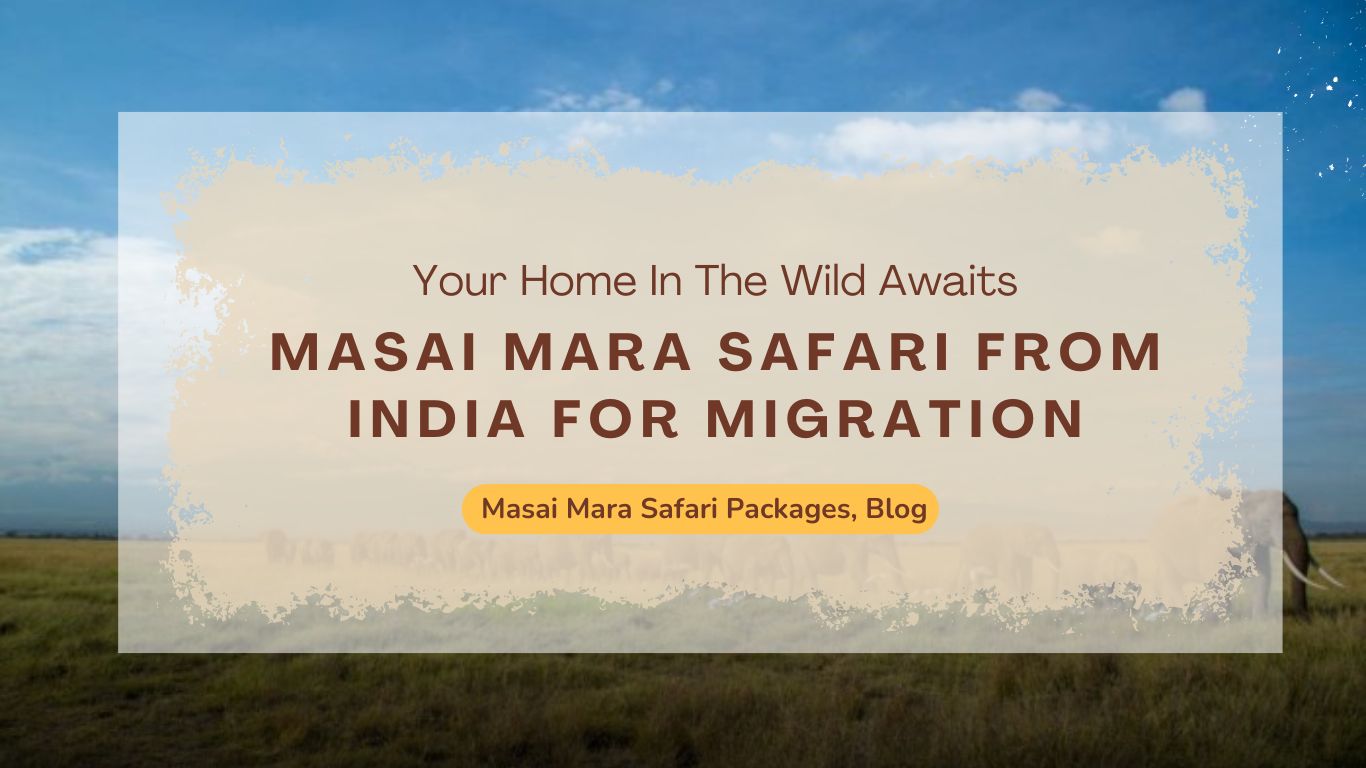 how-to-book-a-masai-mara-safari-from-india-for-migration-season