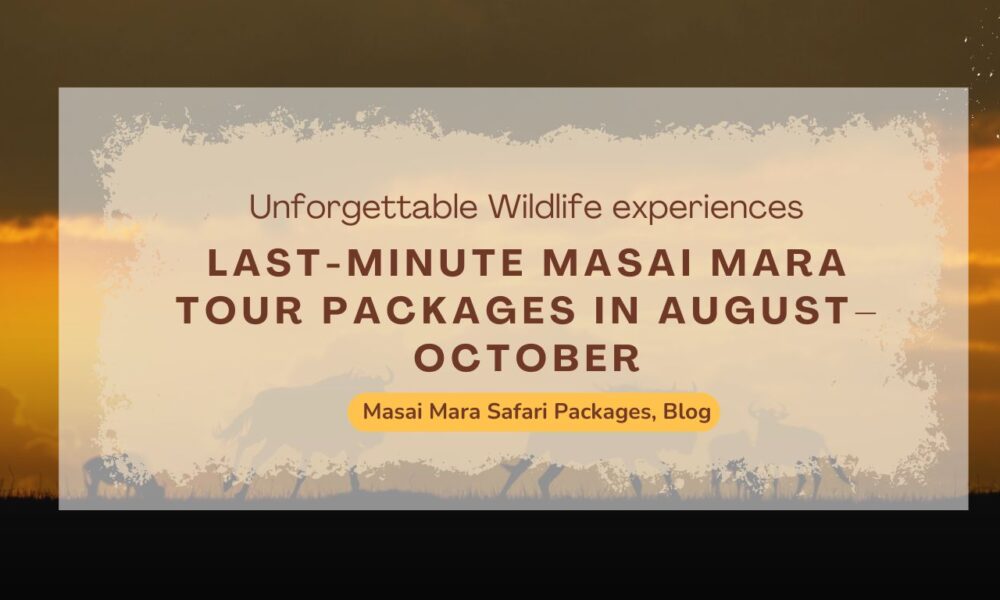 how-to-get-last-minute-masai-mara-tour-packages-in-august–october