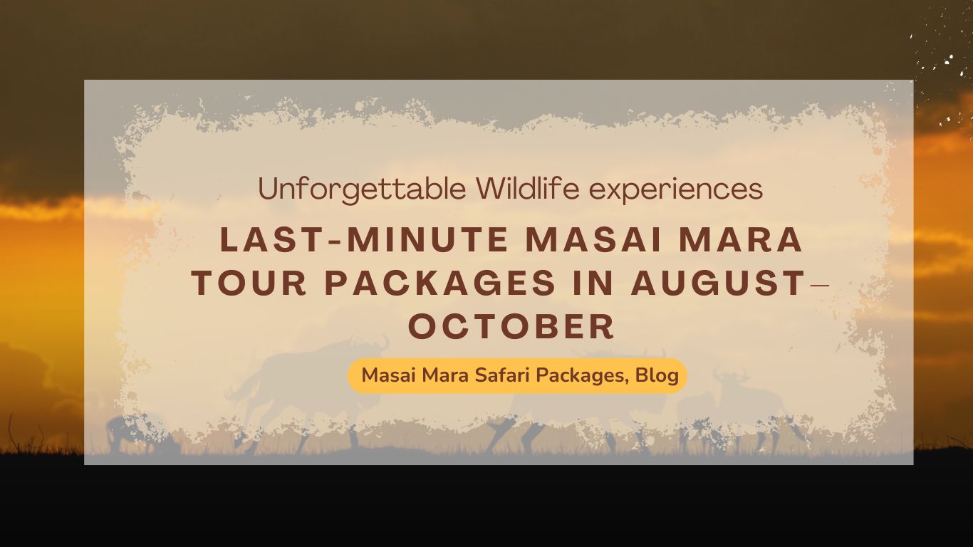 how-to-get-last-minute-masai-mara-tour-packages-in-august–october