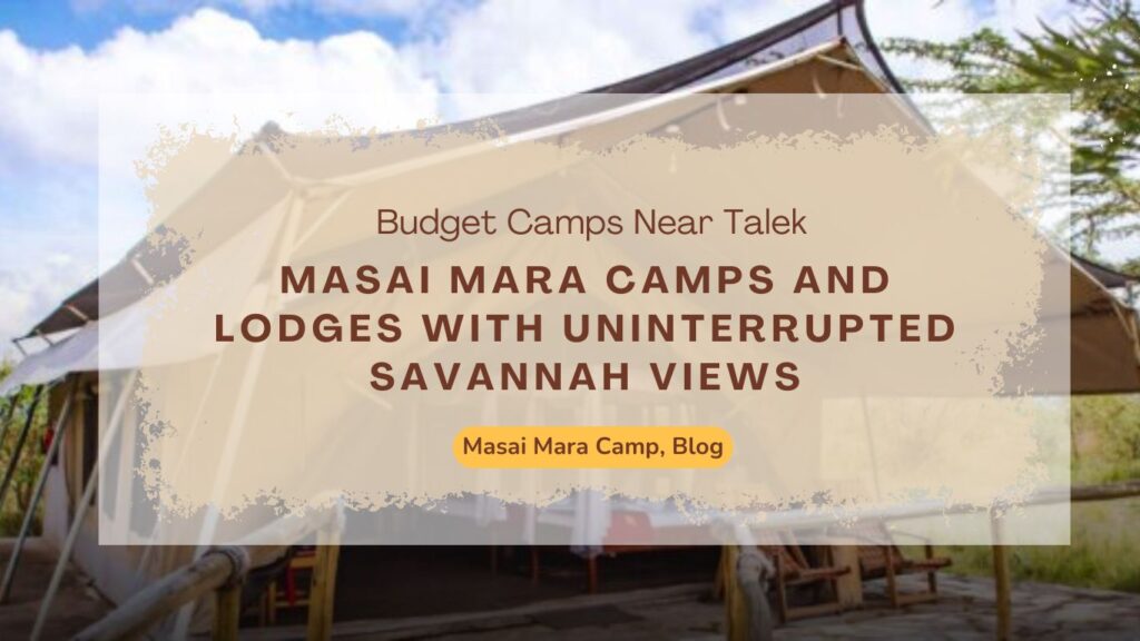 masai-mara-camps-and-lodges-with-uninterrupted-savannah-views