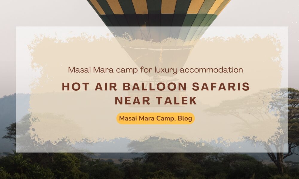 masai-mara-camps-that-offer-hot-air-balloon-safaris-near-talek