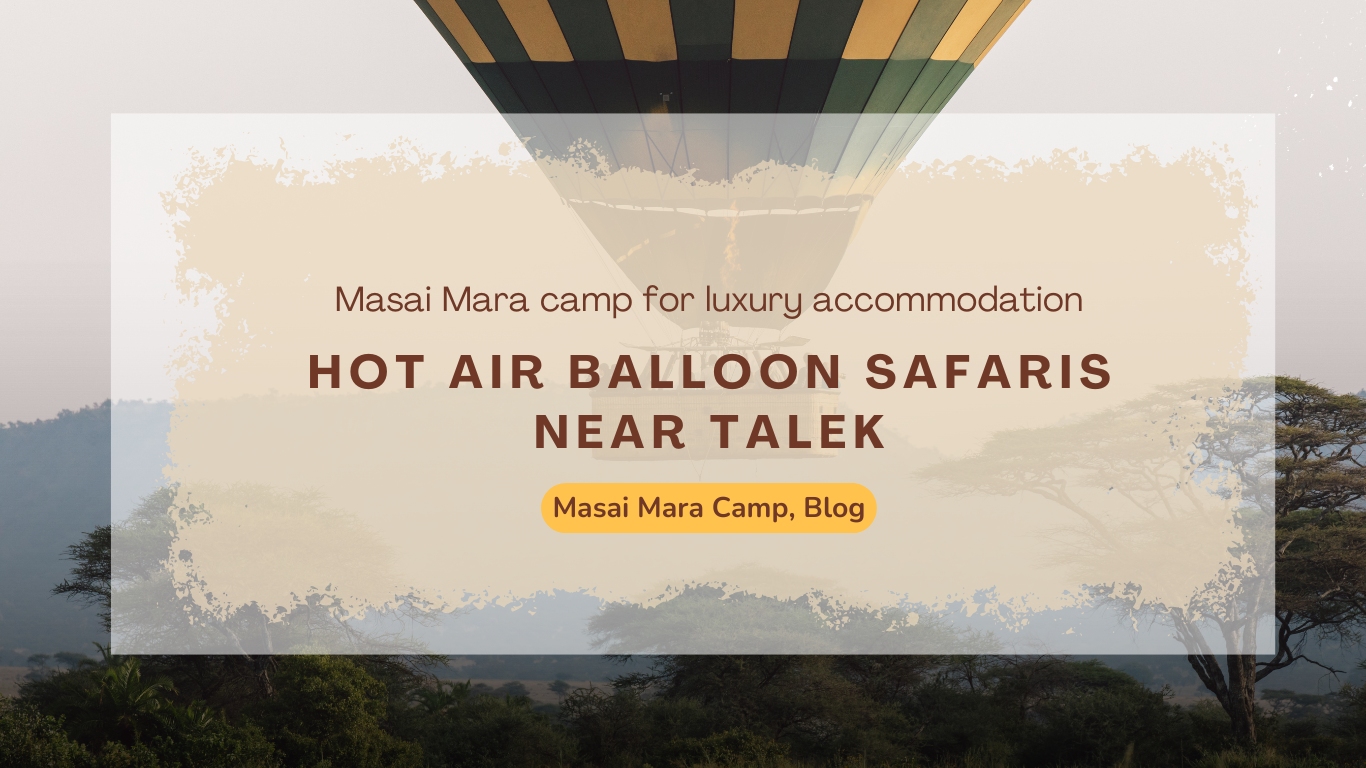 masai-mara-camps-that-offer-hot-air-balloon-safaris-near-talek