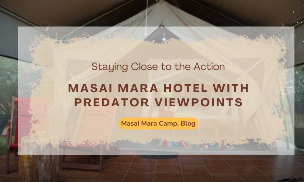 masai-mara-hotel-with-predator-viewpoints-staying-close-to-the-action