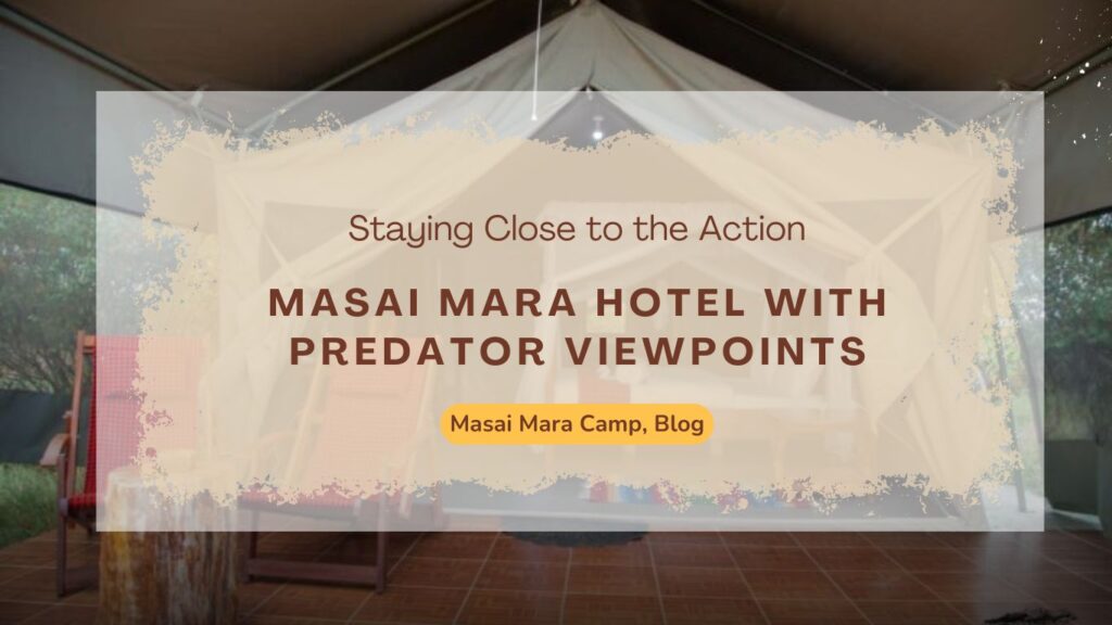 masai-mara-hotel-with-predator-viewpoints-staying-close-to-the-action