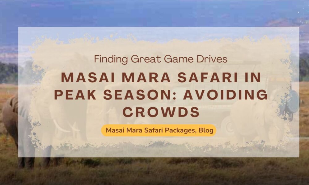 masai-mara-safari-in-peak-season