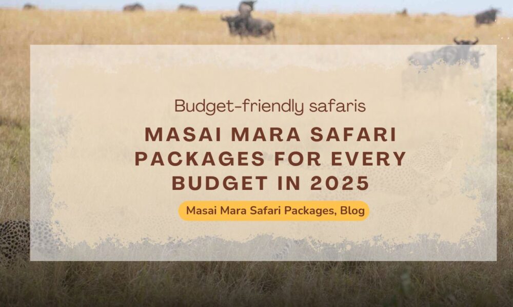 masai-mara-safari-packages-for-every-budget-in-2025