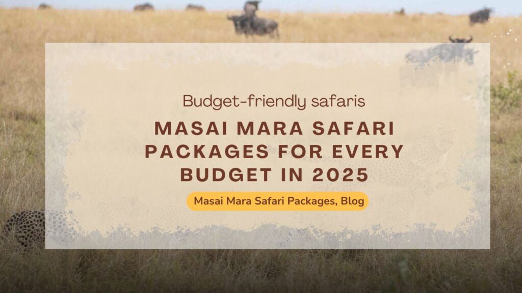 masai-mara-safari-packages-for-every-budget-in-2025