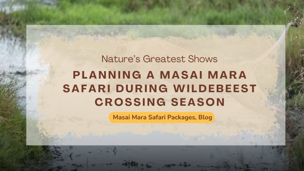 planning-a-masai-mara-safari-during-wildebeest-crossing-season