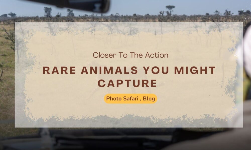 rare-animals-you-might-capture-on-a-masai-mara-photography-tour