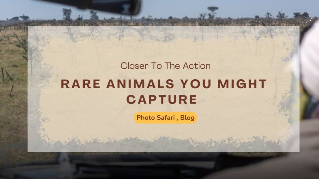 rare-animals-you-might-capture-on-a-masai-mara-photography-tour