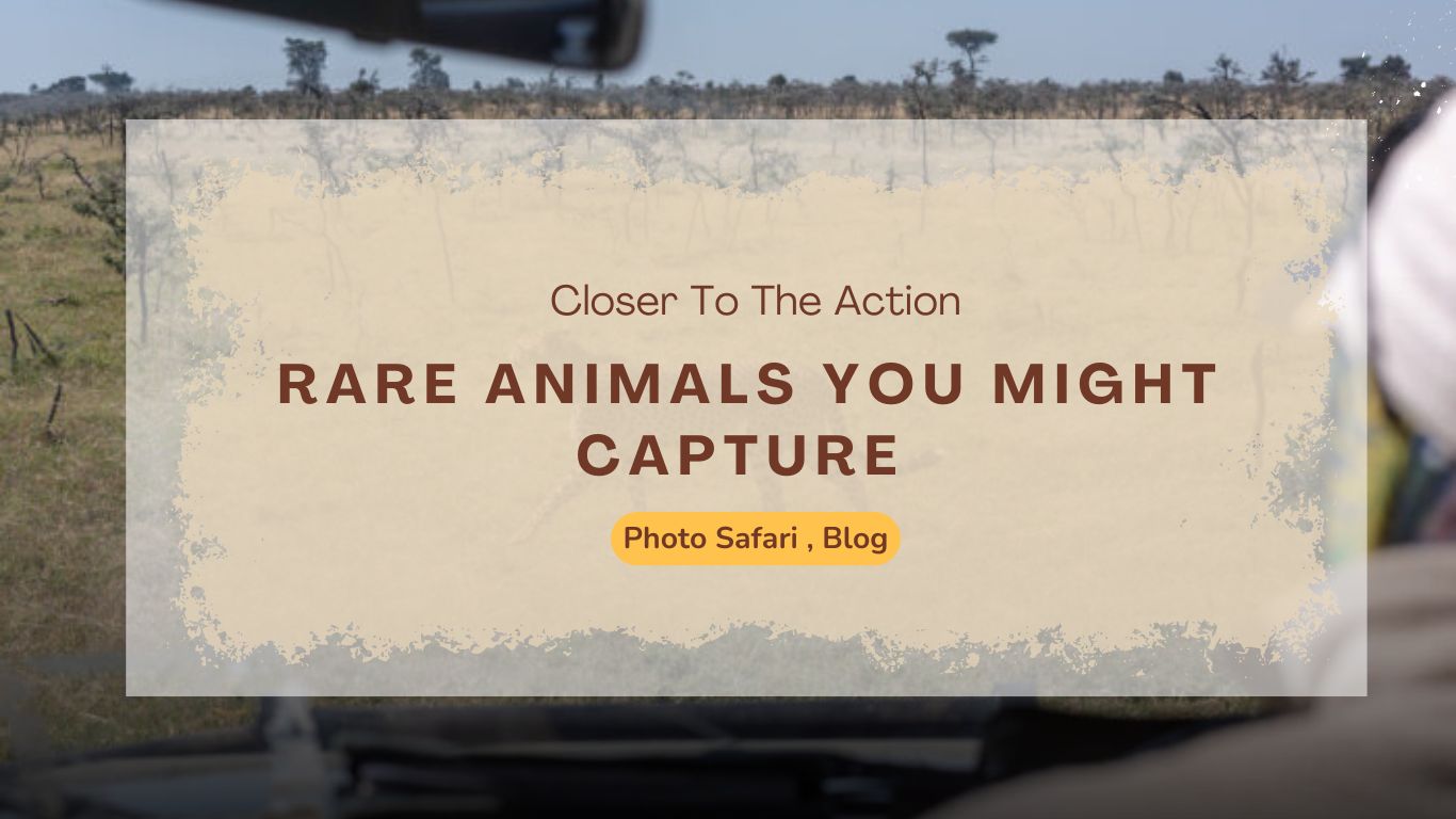 rare-animals-you-might-capture-on-a-masai-mara-photography-tour