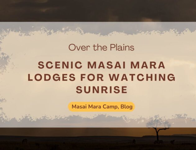 scenic-masai-mara-lodges-for-watching-sunrise-over-the-plains