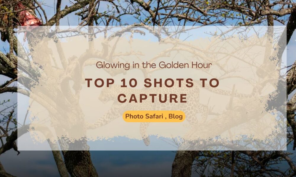 top-10-shots-to-capture-on-your-first-masai-mara-photography-tour