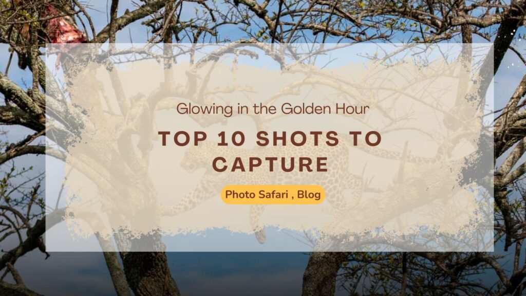 top-10-shots-to-capture-on-your-first-masai-mara-photography-tour