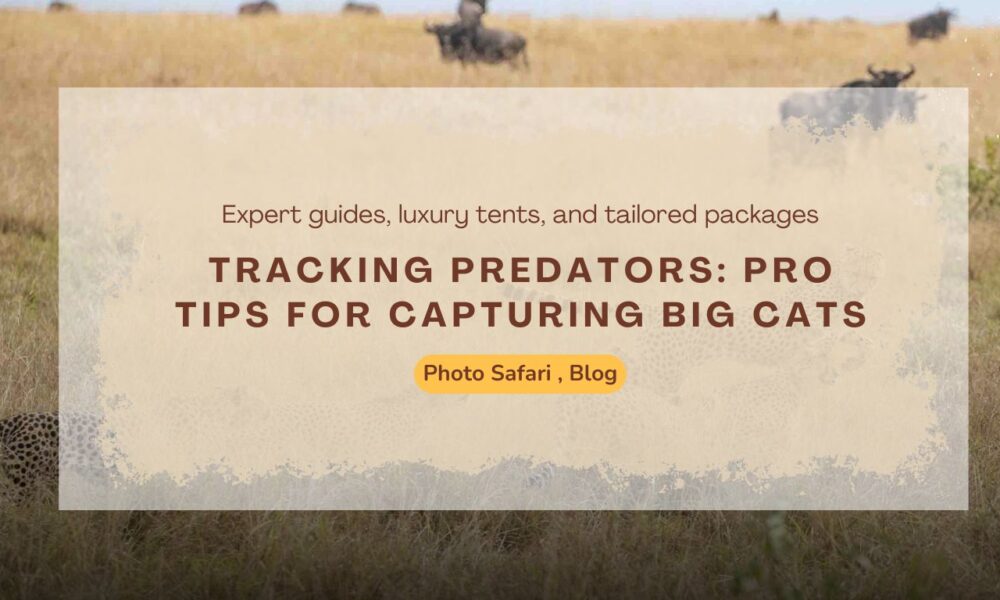 tracking-predators-pro-tips-for-capturing-big-cats-on-a-masai-mara-photography-tour
