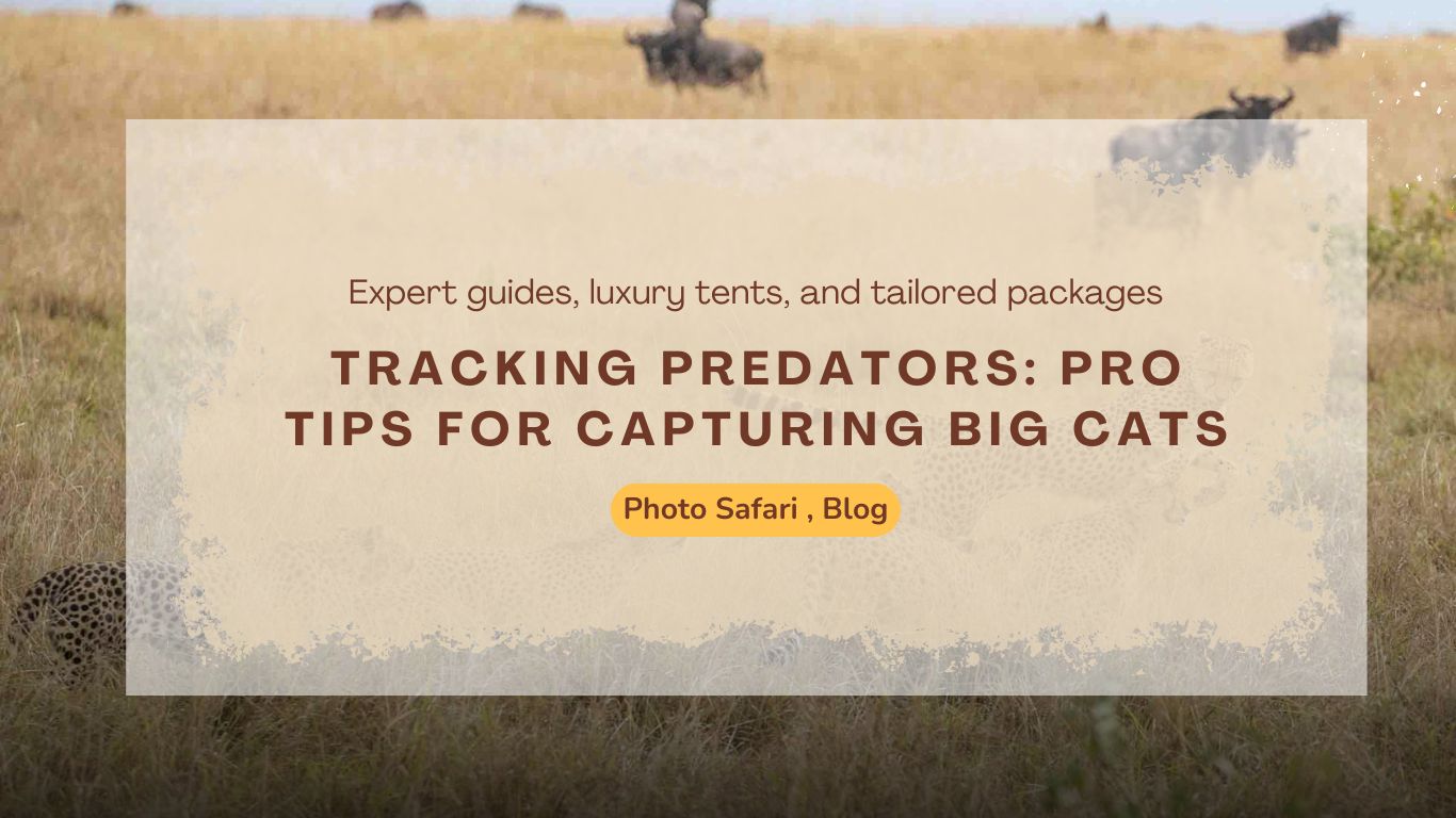 tracking-predators-pro-tips-for-capturing-big-cats-on-a-masai-mara-photography-tour
