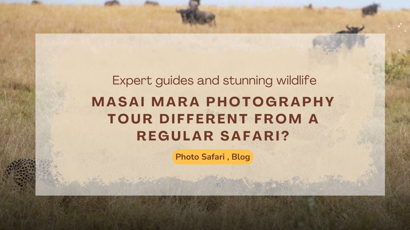 what-makes-a-masai-mara-photography-tour-different-from-a-regular-safari